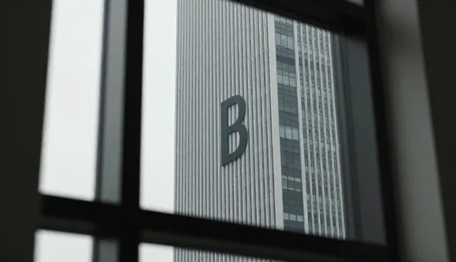 环保项目中配方优化剂B的成本控制要点分析